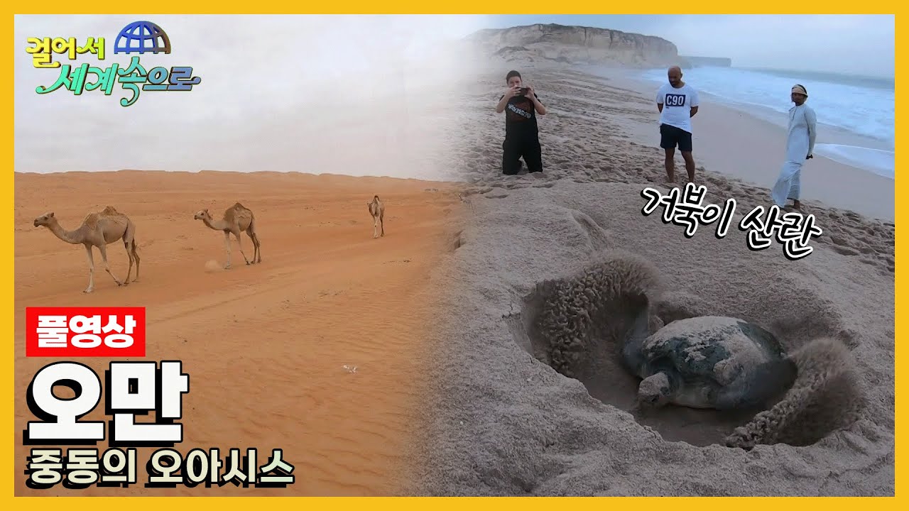[걸어서세계속으로Full📺] 끝없이 펼쳐진 사막과 에메랄드 바다 '오만' Trip to Oman (KBS 20220820)