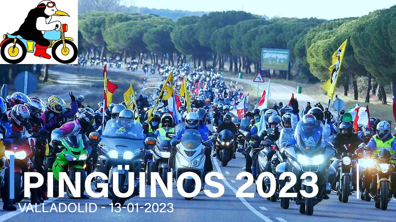PINGÜINOS 2023