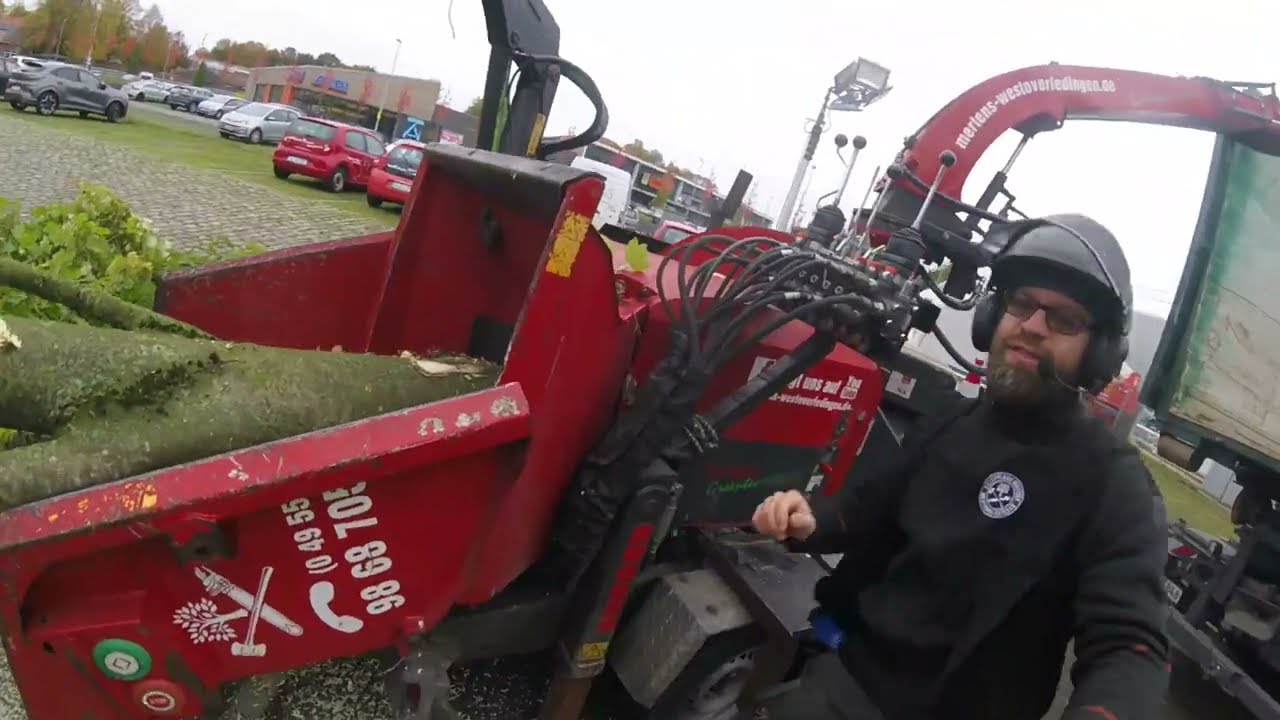 Zaun IM Baum eingewachsen! NIEMAND wollte diesen Baum fällen!Wie haben wir das gelöst?Seid gespannt!