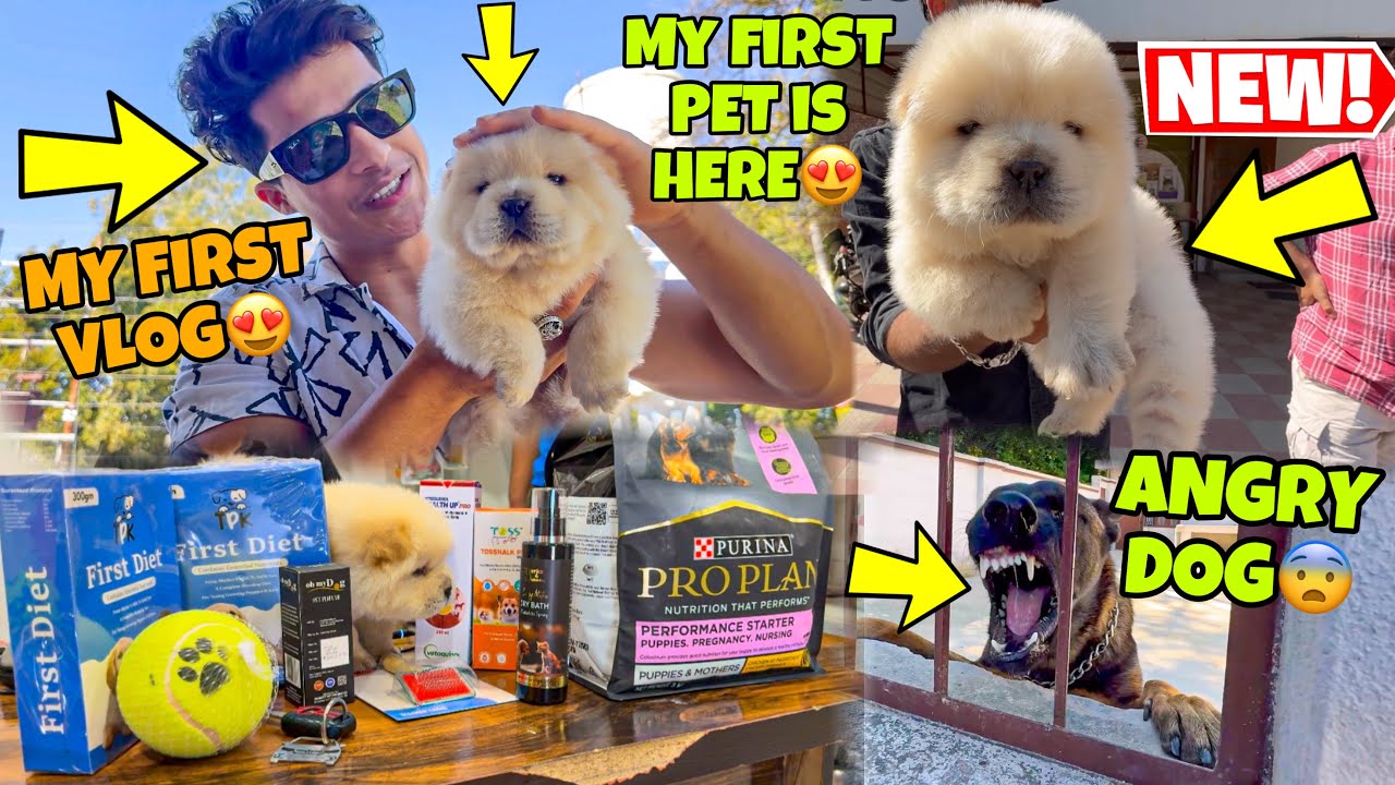 My First Pet is Here😍Chow Chow❤️ | My First Vlog with my Pet | Name batao kya rakhen ?  My First Pet
