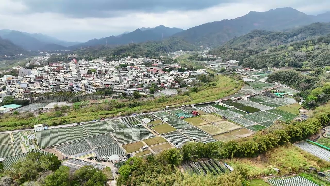 大湖鄉|草莓園|苗栗|四寮坪