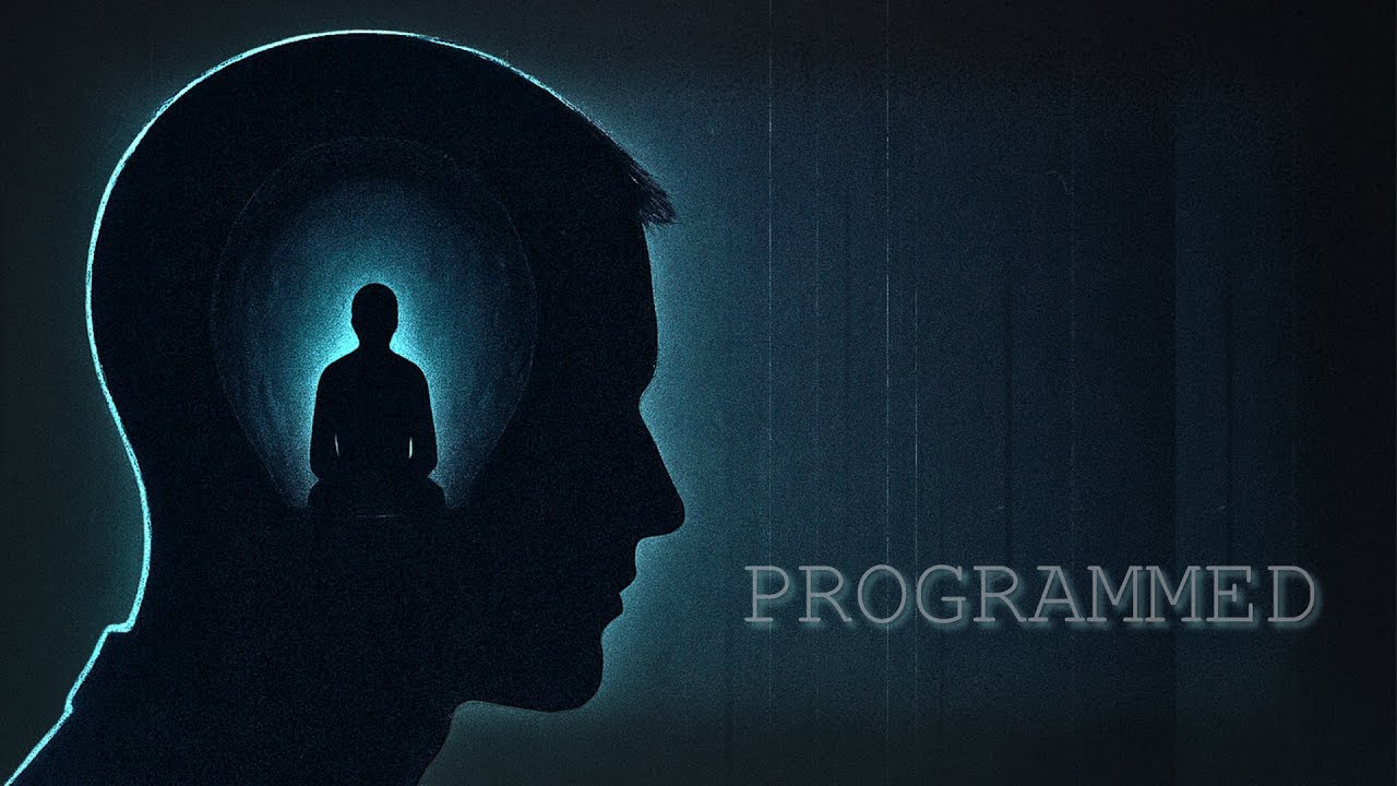 Программирование вины: вас обучили подчиняться, не понимая почему