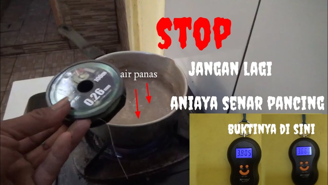 jarang yang tau fakta senar di rendam dengan air panas