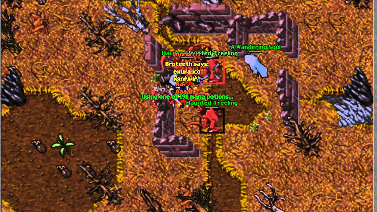 Tibia Hunt Episode 15 - Vengoth Haunted Treelings