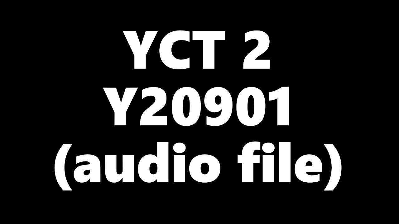 Chinese Test Kids YCT 2 Y20901 汉语水平考试