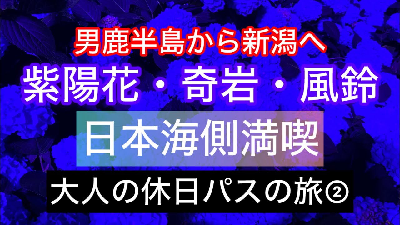 幻想的な紫陽花の男鹿半島から新潟島へ　日本海南下ルートを満喫　　#大人の休日倶楽部　#コスパ旅   #男鹿半島   #新潟観光 