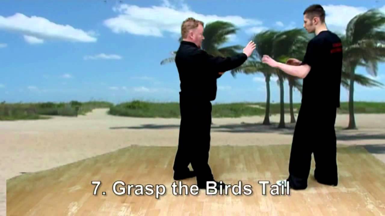 Yang 24 Tai Chi Applications