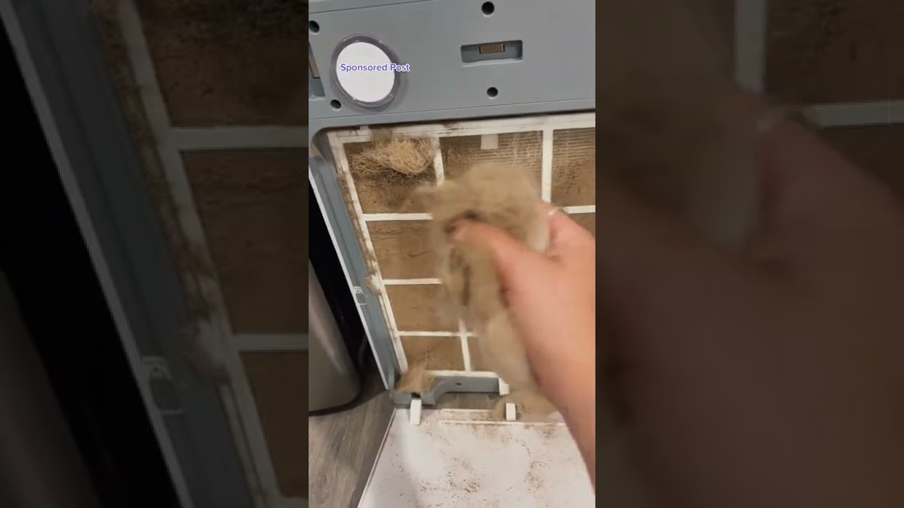 If you have pets, get your air purifier now.