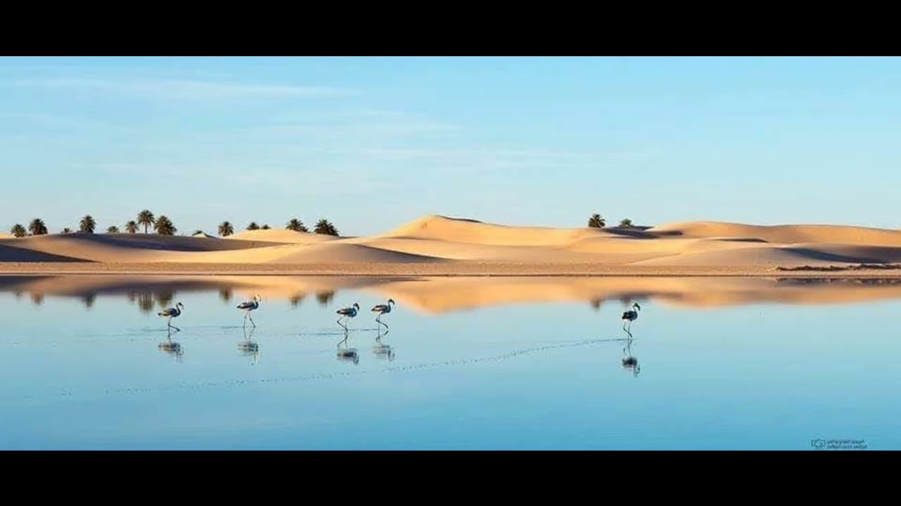 Zones humides Algérie...!