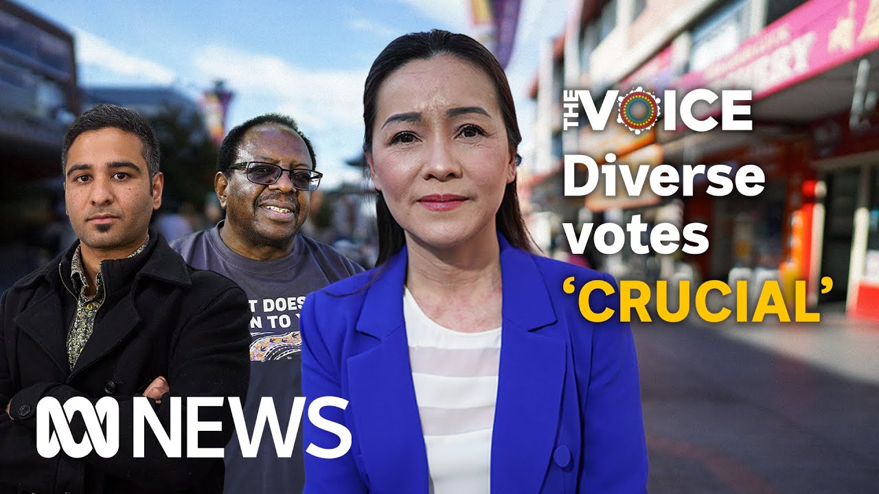 Diverse vote &lsquo;crucial&rsquo; to outcome of Voice referendum, analysts say | ABC News