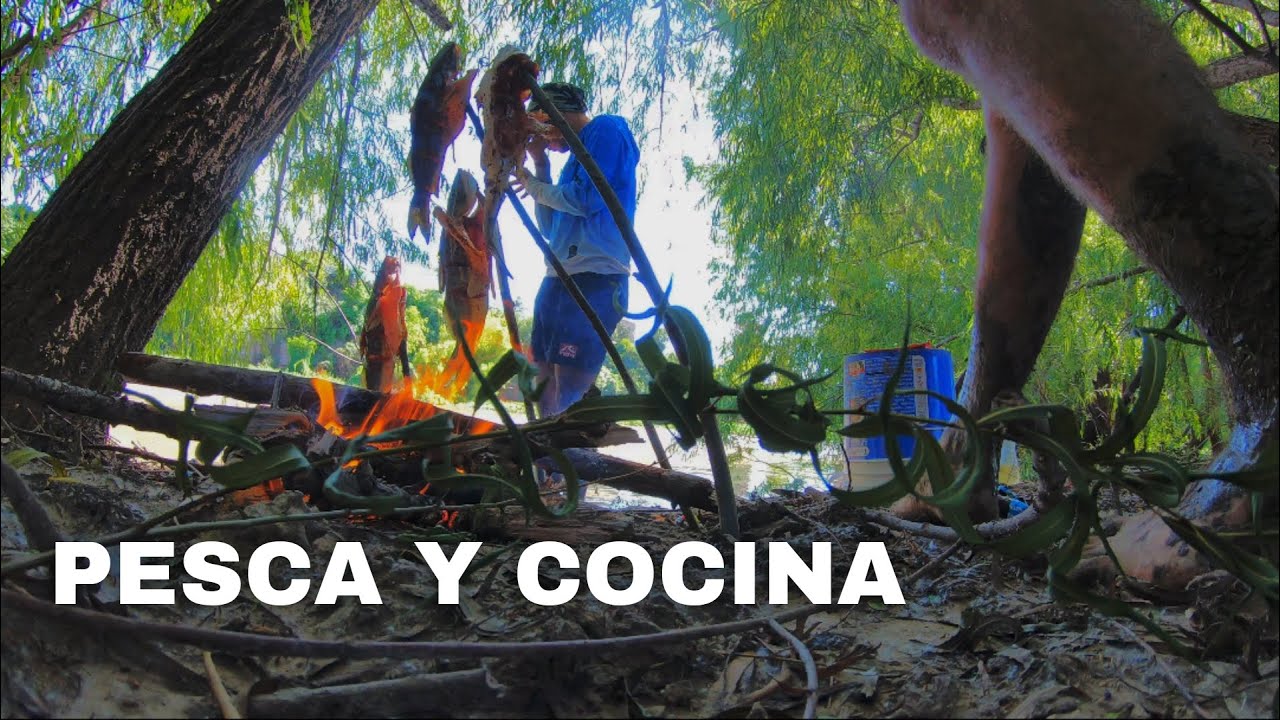 PESCA Y COCINA EN LUGAR LLENO DE VIDA🤯 ~ dorados~ armados ~ amarillos