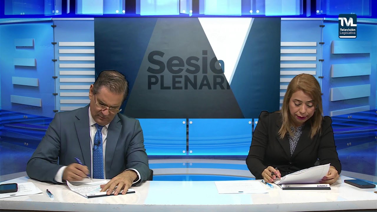 PLENO DE LA ASAMBLEA NACIONAL