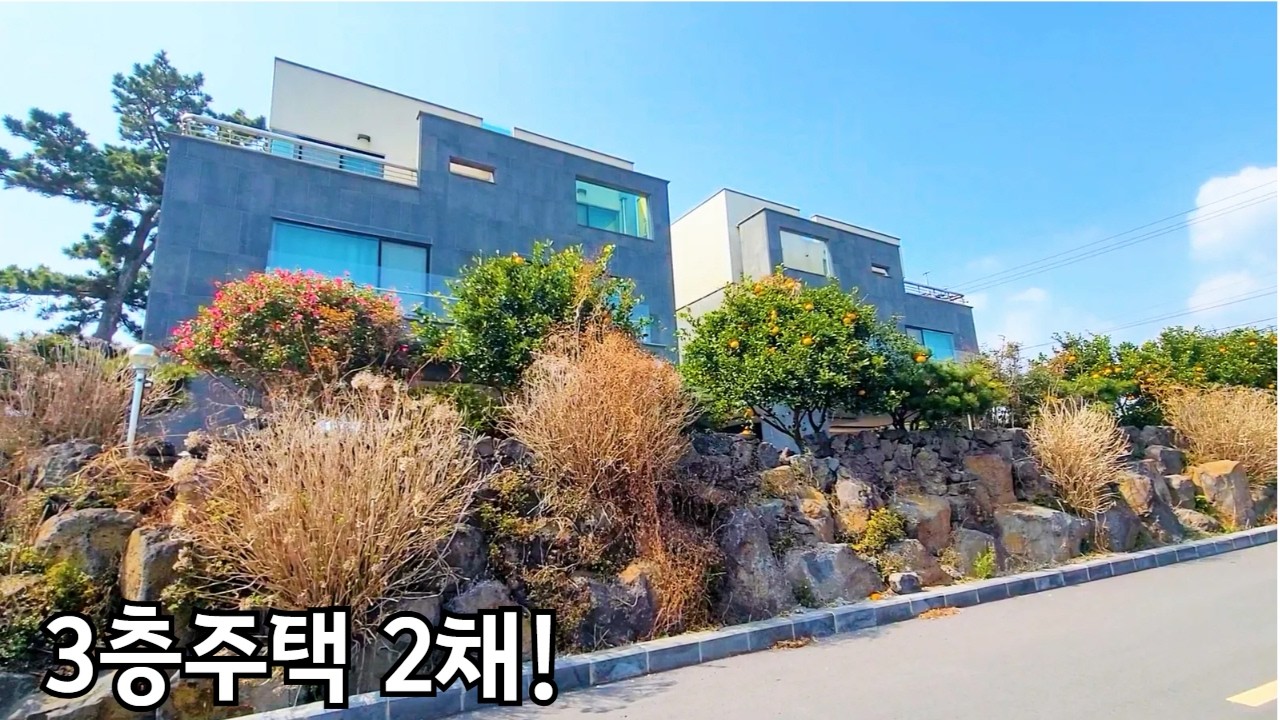 [제주도경매] 규모가, 와!! 실제현장영상 (2025타경 7479)