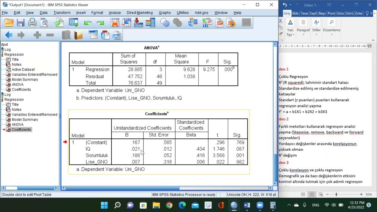 SPSS'te Çoklu Regresyon Analizi: Video 1