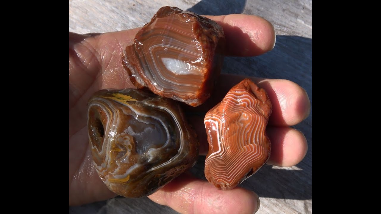 Another Good Agate Hunt