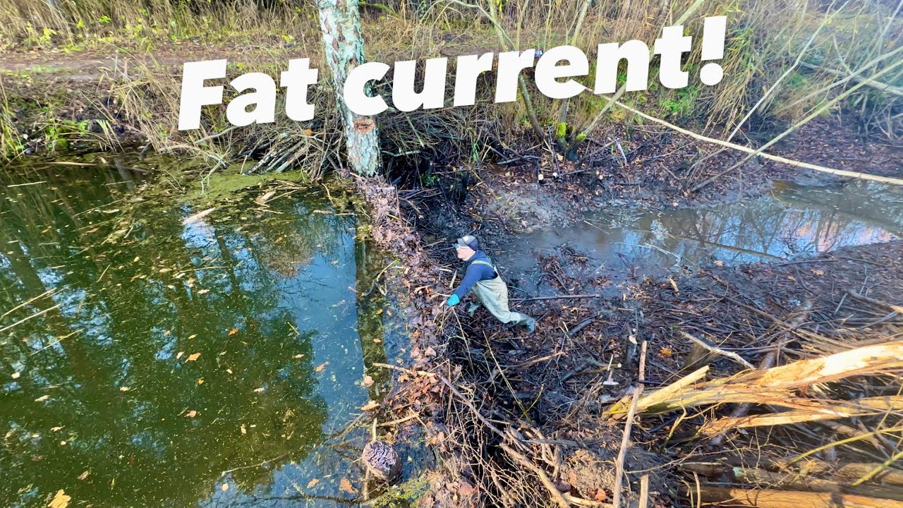 Beaver Dam Didn't Give Up Easily!