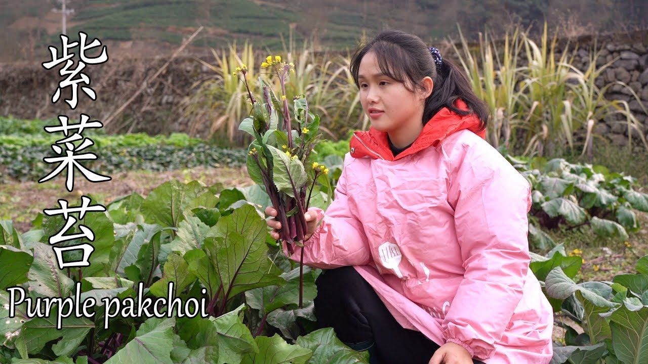 这种菜，花、茎、叶都可以吃，你吃过吗？