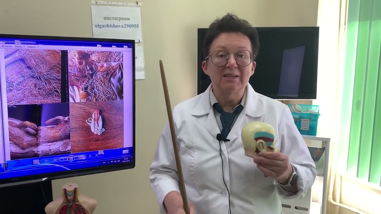 КАК СНИЖАТЬ ТРЕВОЖНОСТЬ И УСПОКАИВАТЬ НЕРВНУЮ СИСТЕМУ. [Шишова О.И.]