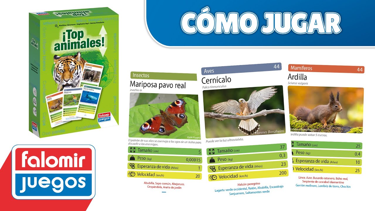 Top Animales