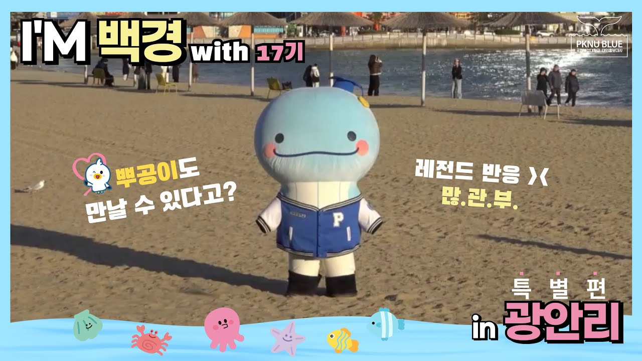 [I’m 백경이] 캠퍼스 탈출! 광안리에서 만난 백경이🐳, 시민들 반응은?👀