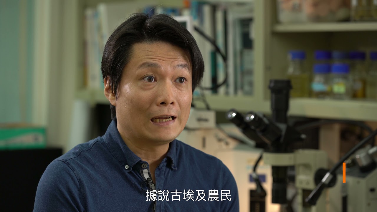 【發酵的科學】看不見的多樣性