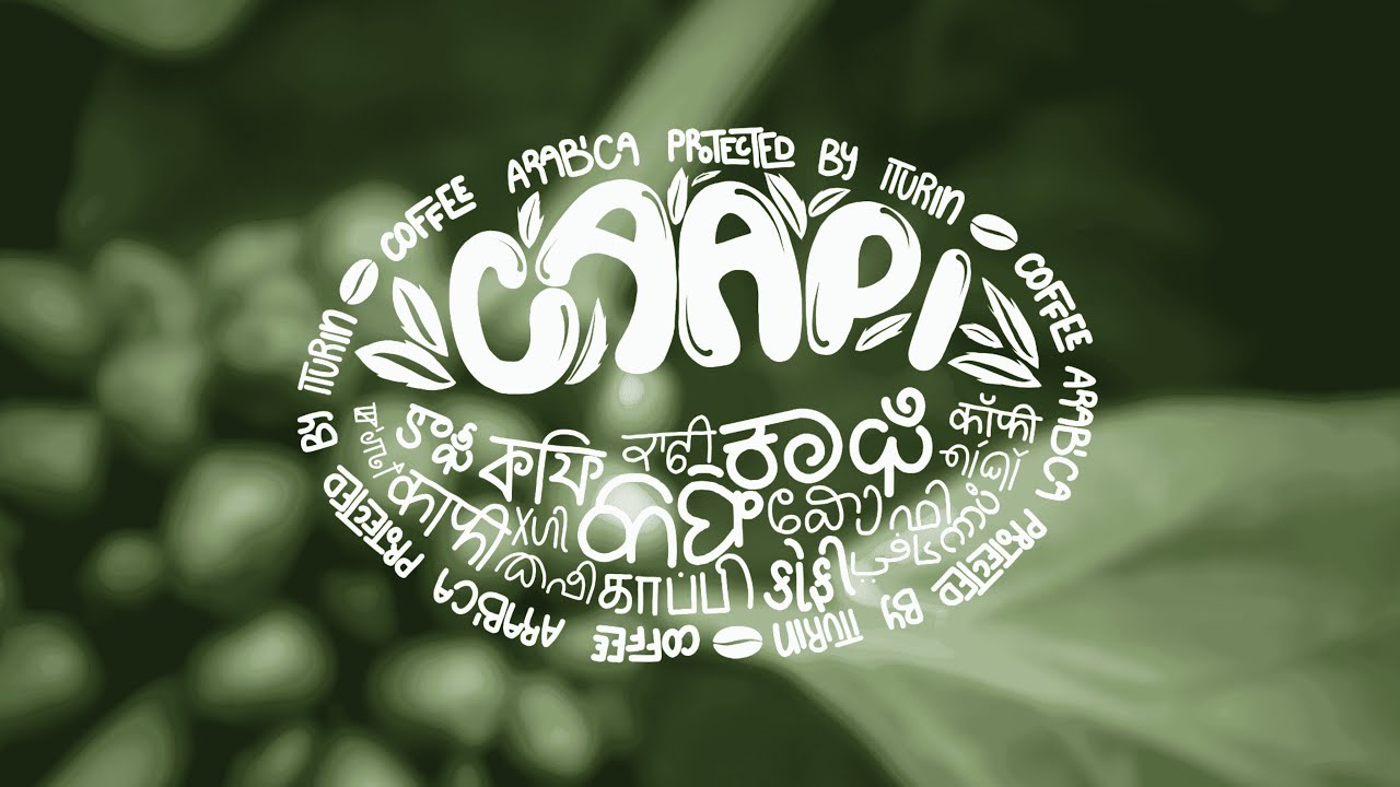 CAAPI | Gogec 2025 | MIT-MAHE