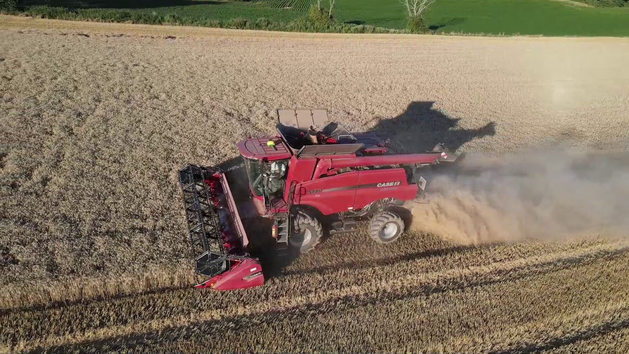 Moisson de blé 2020 Case Axial 5140