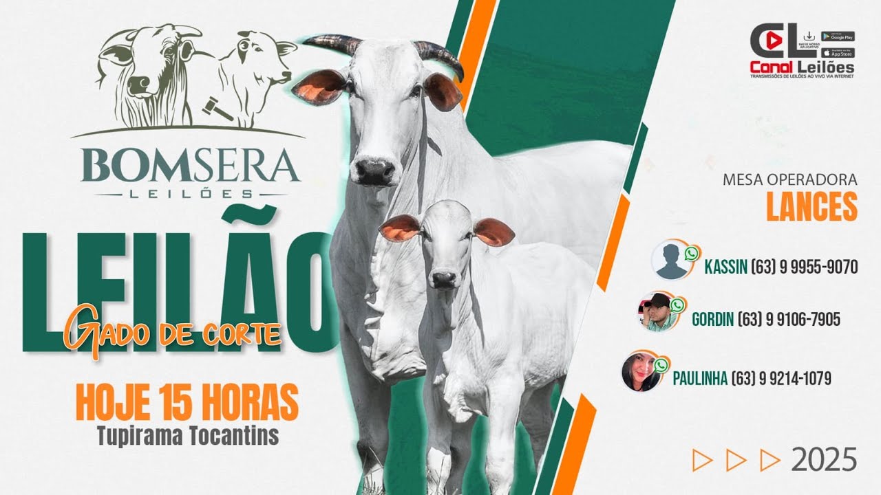 Canalleiloes.com | 🔝 LEILÃO ESPECIAL FIM DE ANO - BOM SERÁ LEILÕES - TUPIRAMA-TO