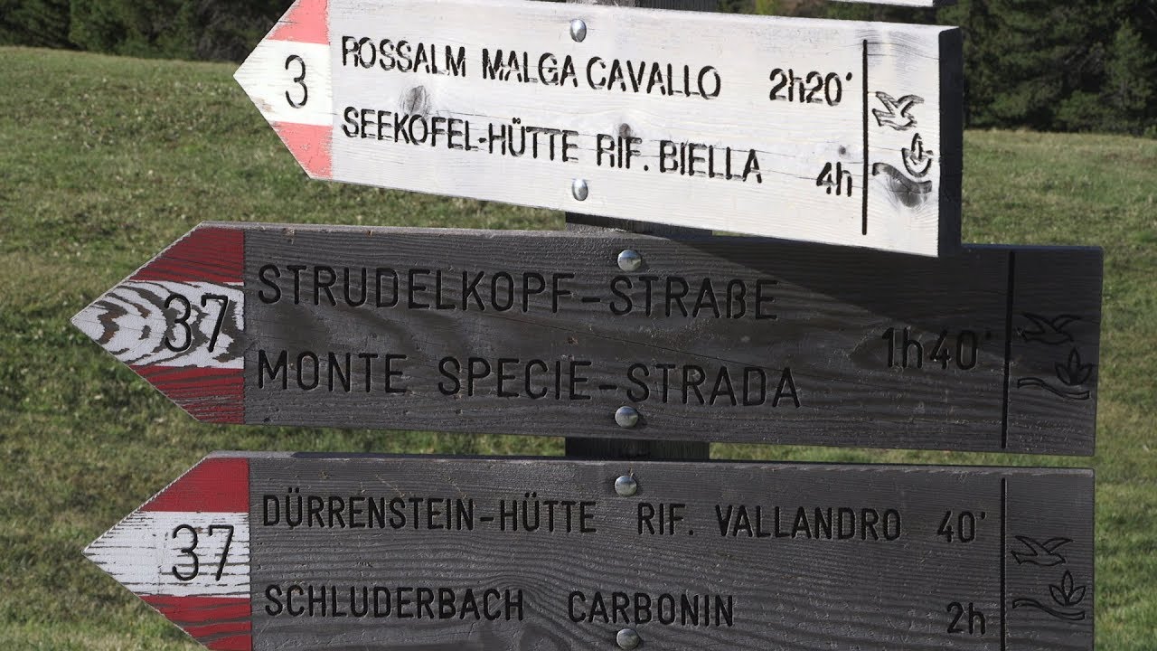 Südtirol: Wanderung von der Plätzwiese auf den Strudelkopf