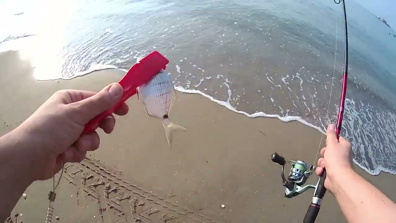 At-Yakala-Çek-Bırak 2.Bölüm Hanfish Zıpır Yumurtalık/ADANA