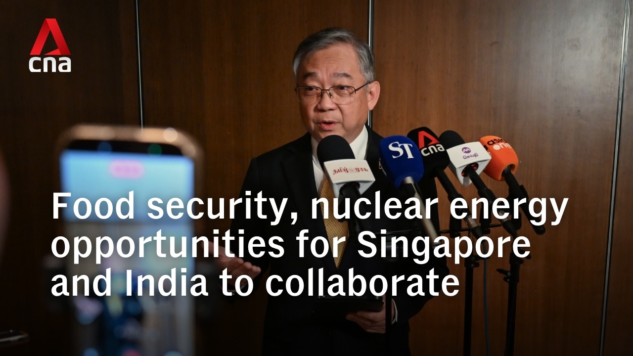 Singapore and India discuss bilateral cooperation on semiconductors, food security