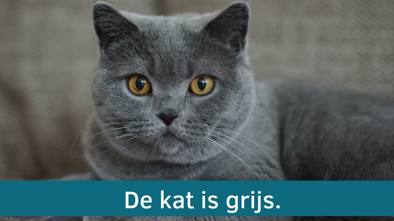 De kleuren.