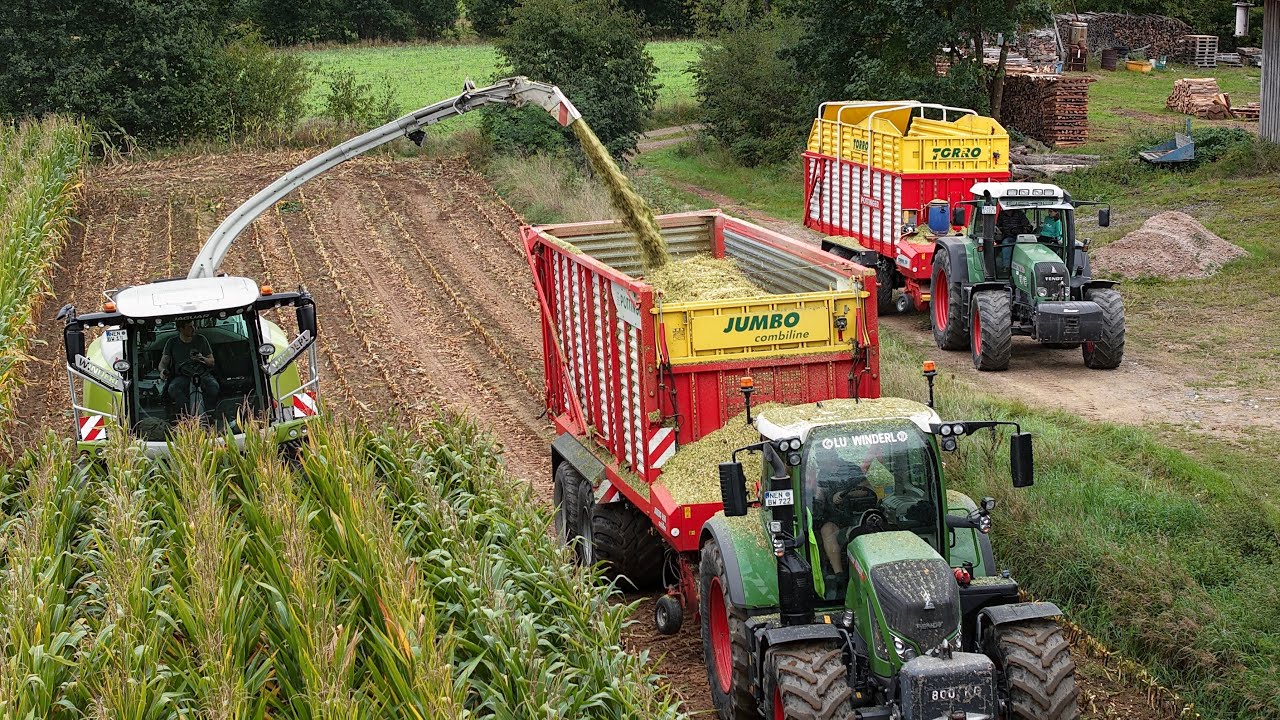 Lohnunternehmen Winderl im Einsatz | Maissilage in Mitteraschau