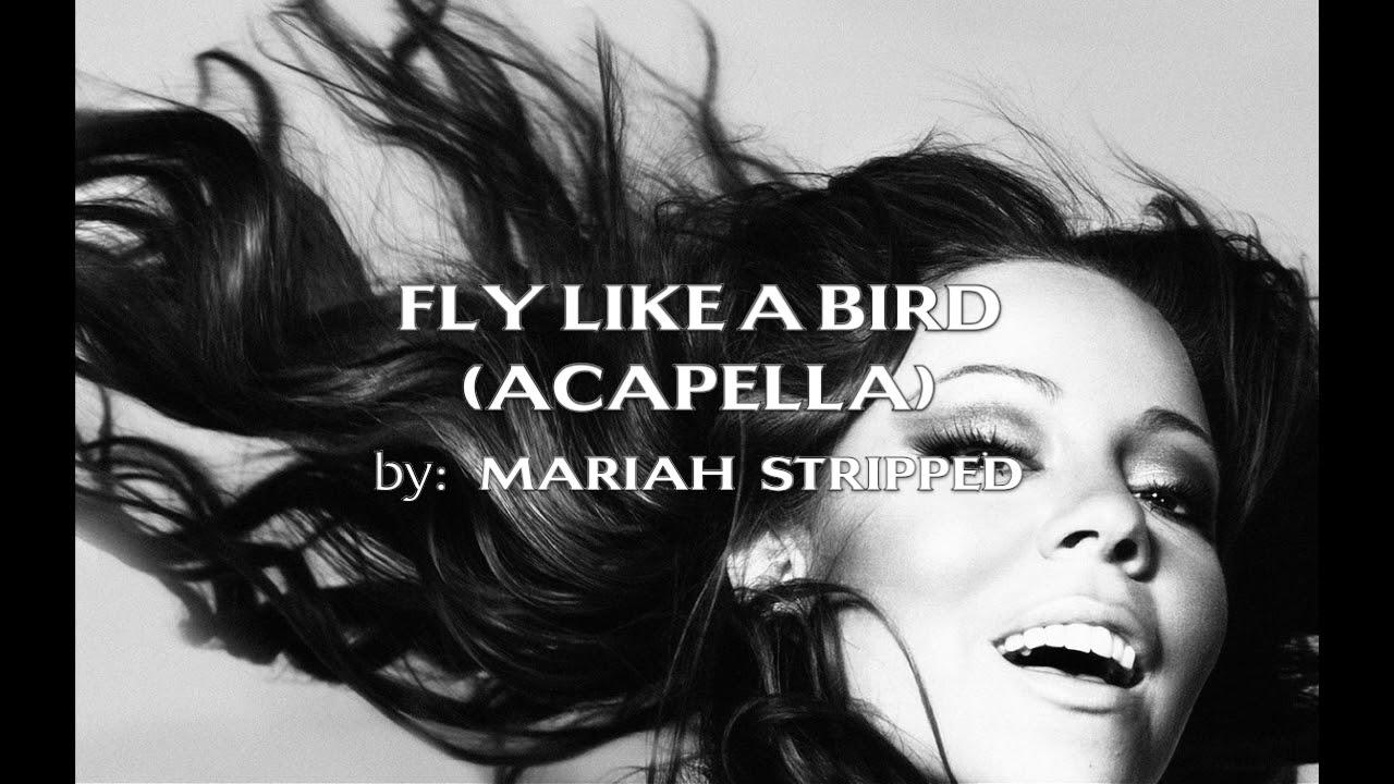 Fly Like A Bird (Studio Acapella)