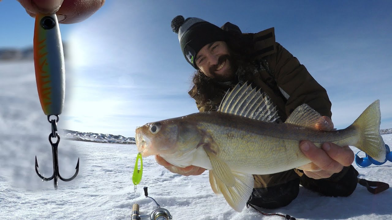 Hungry Spring Saugers! New Vibrating Jigging Try This Rattle Spoon!