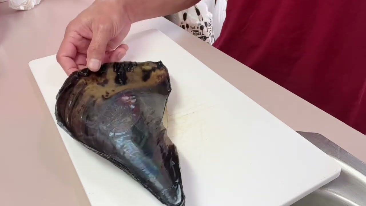 Japanese Seafoods-How to eat Tairagai(Pen Shell or Talab in visaya )for sashimi