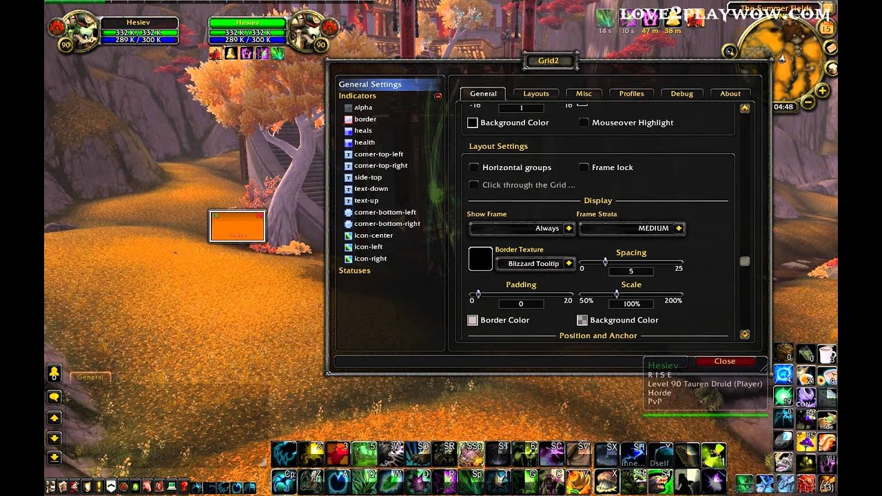 Setting up Grid 2 for Healers
