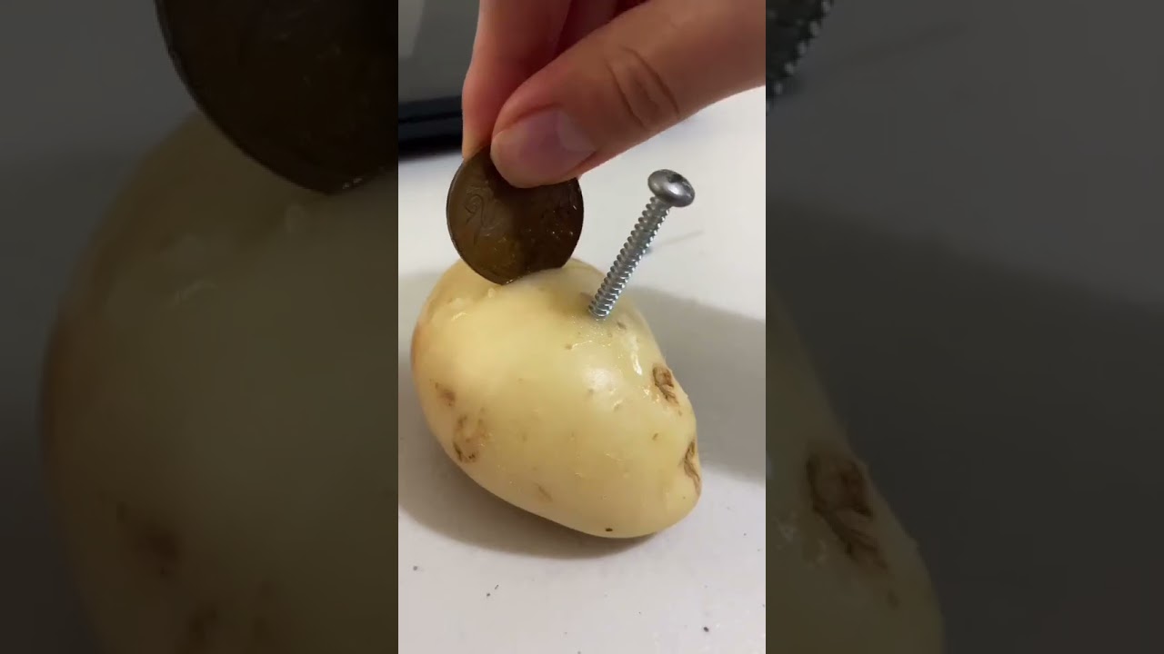 &iquest;Podr&iacute;a CARGAR mi celular con PAPAS? 😱🥔🪫#tecnologia #tech #ingenieria #datoscuriosos #sabiasque