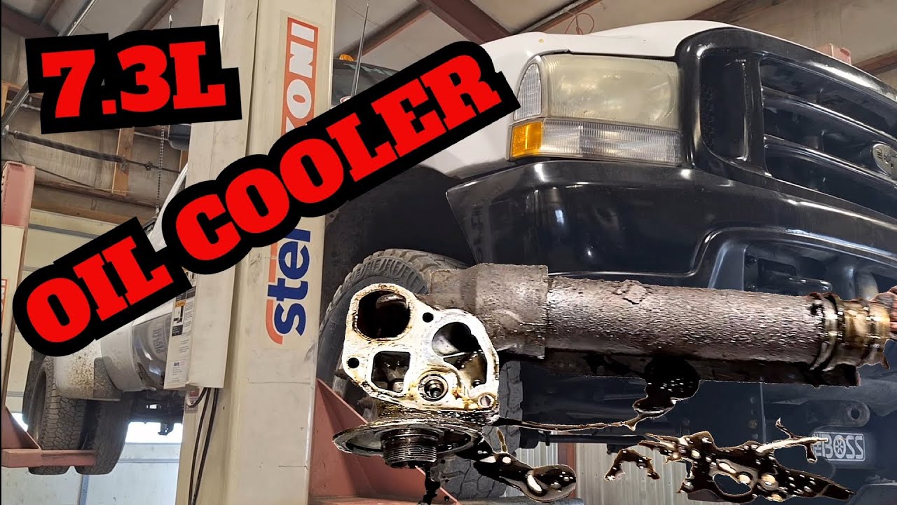 7.3L Oil Cooler O-Rings (02 F-350)