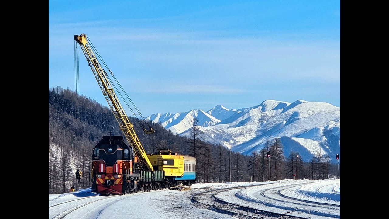 Эльга Транс