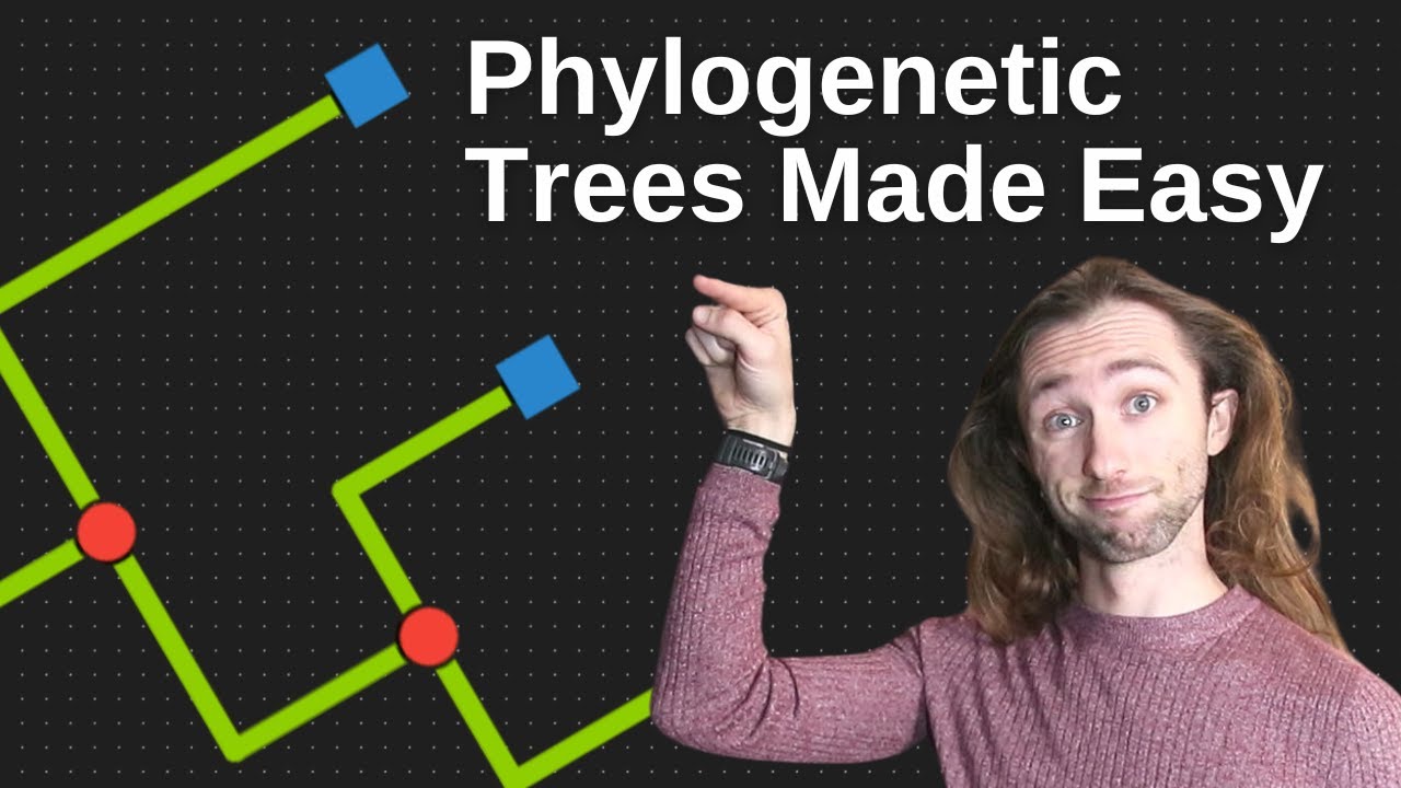 New to Phylogenies? START HERE - Tips, Nodes, Branches, and the Root