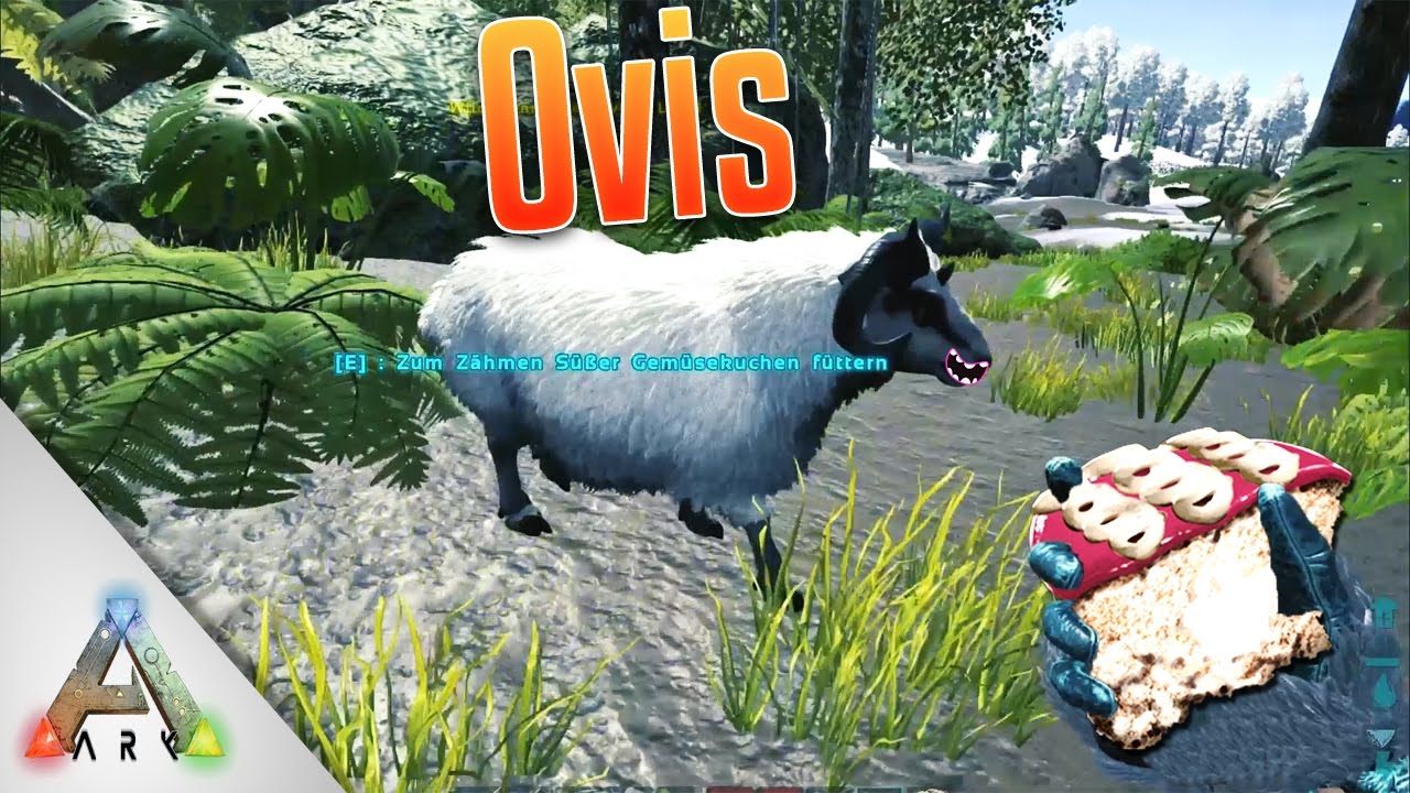 Ark Ovis zähmen 🐏 (Aries, Schaf spawn) Taming Location