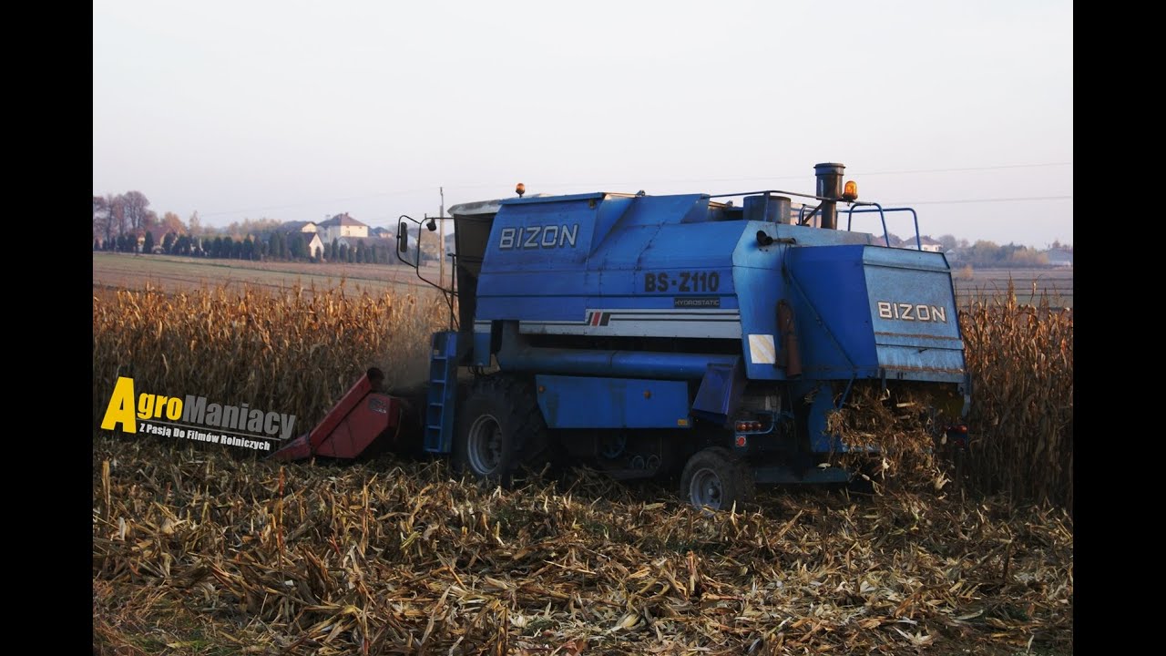 Kukurydza z Bizon BS 110 & Zetor Forterra [MAŁOPOLSKA]