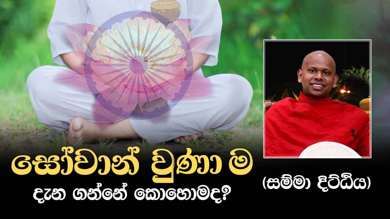 සෝවාන් වුනා ම දැන ගන්නේ කොහොම ද? (සම්මා දිට්ඨිය)