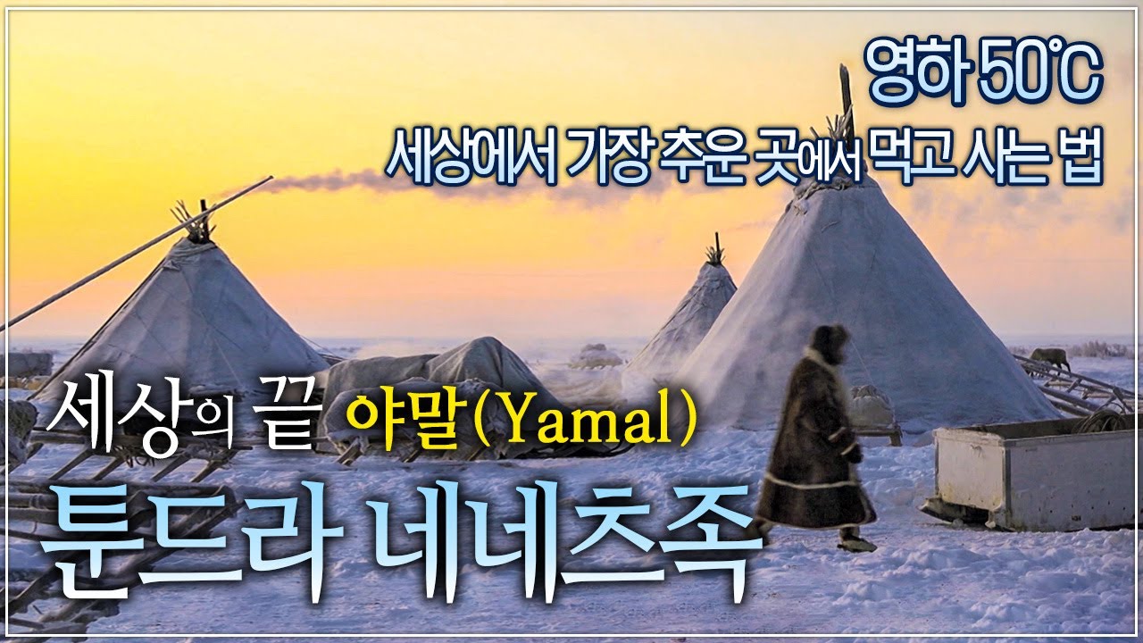 너무 추워서 처음 보는 이방인도 일단 재워 준다는 툰드라! 세상에서 가장 추운 곳에 사는 사람들│세상의 끝 야말(Yamal), 러시아 툰드라의 네네츠 족│세계테마기행│#골라듄다큐