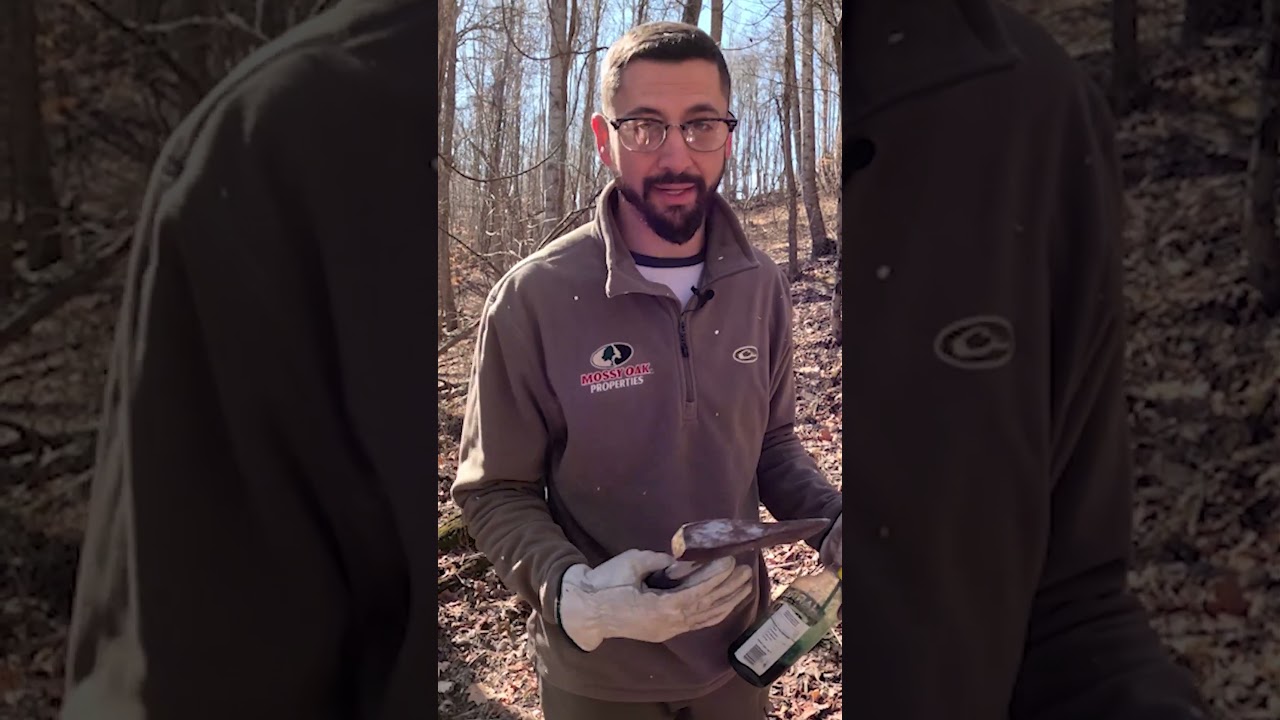 How to Hack and Squirt Trees