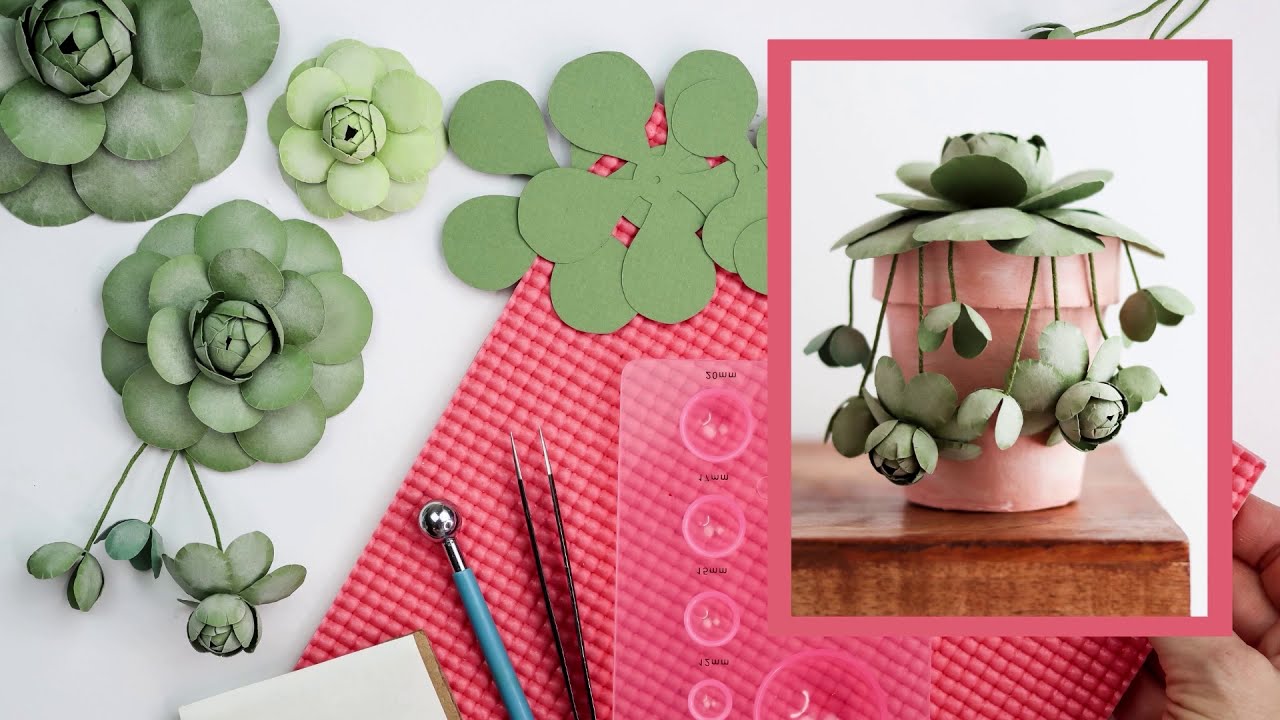 Paper Chinese Dunce Cap Succulent Tutorial | Paper Flower Tutorial | Paper Craft DIY