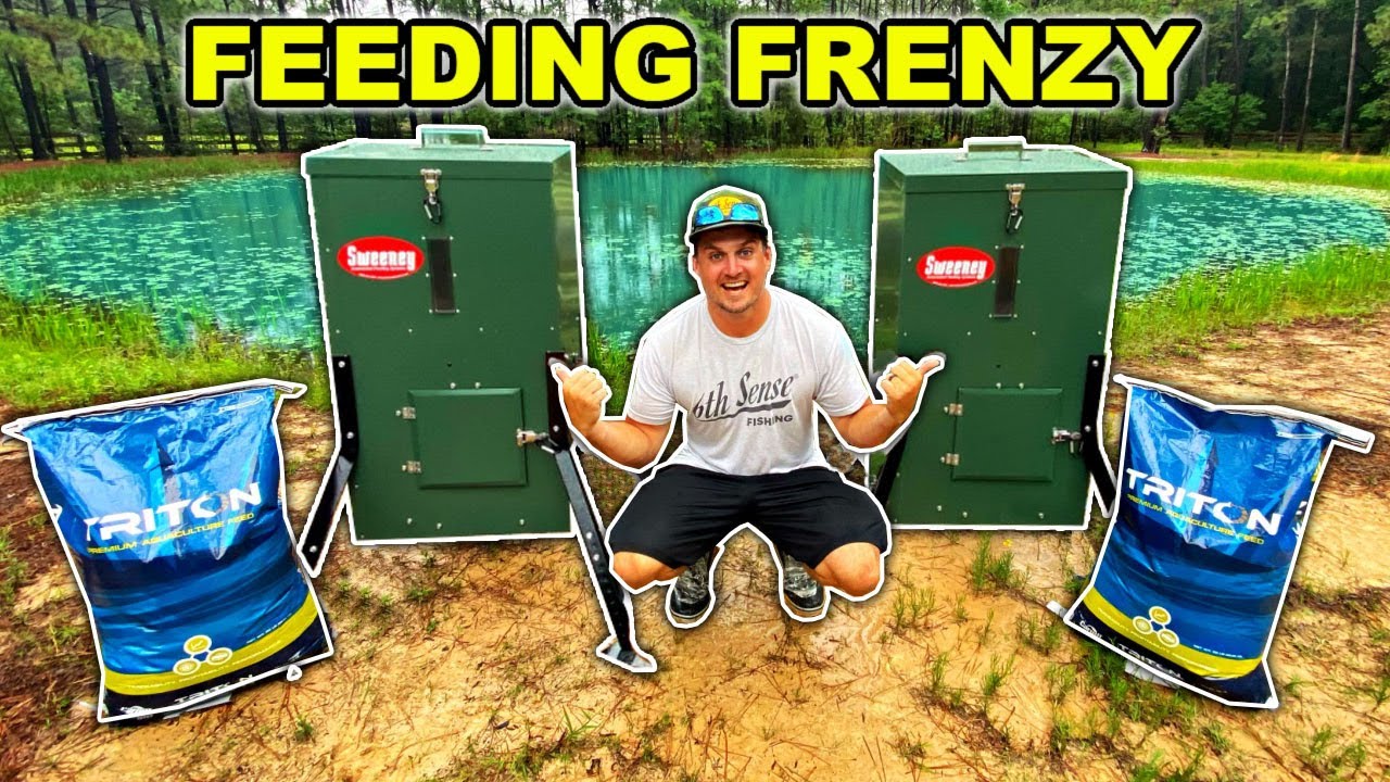 Installing FISH FEEDERS in My Backyard Pond!! (Pet Fish Feeding Frenzy)