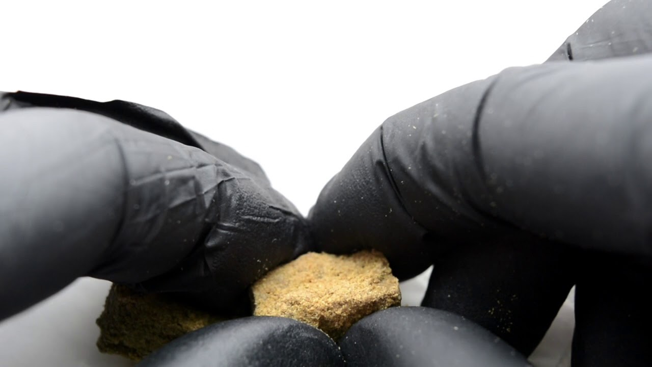Nicole x Nicole Kush Hash