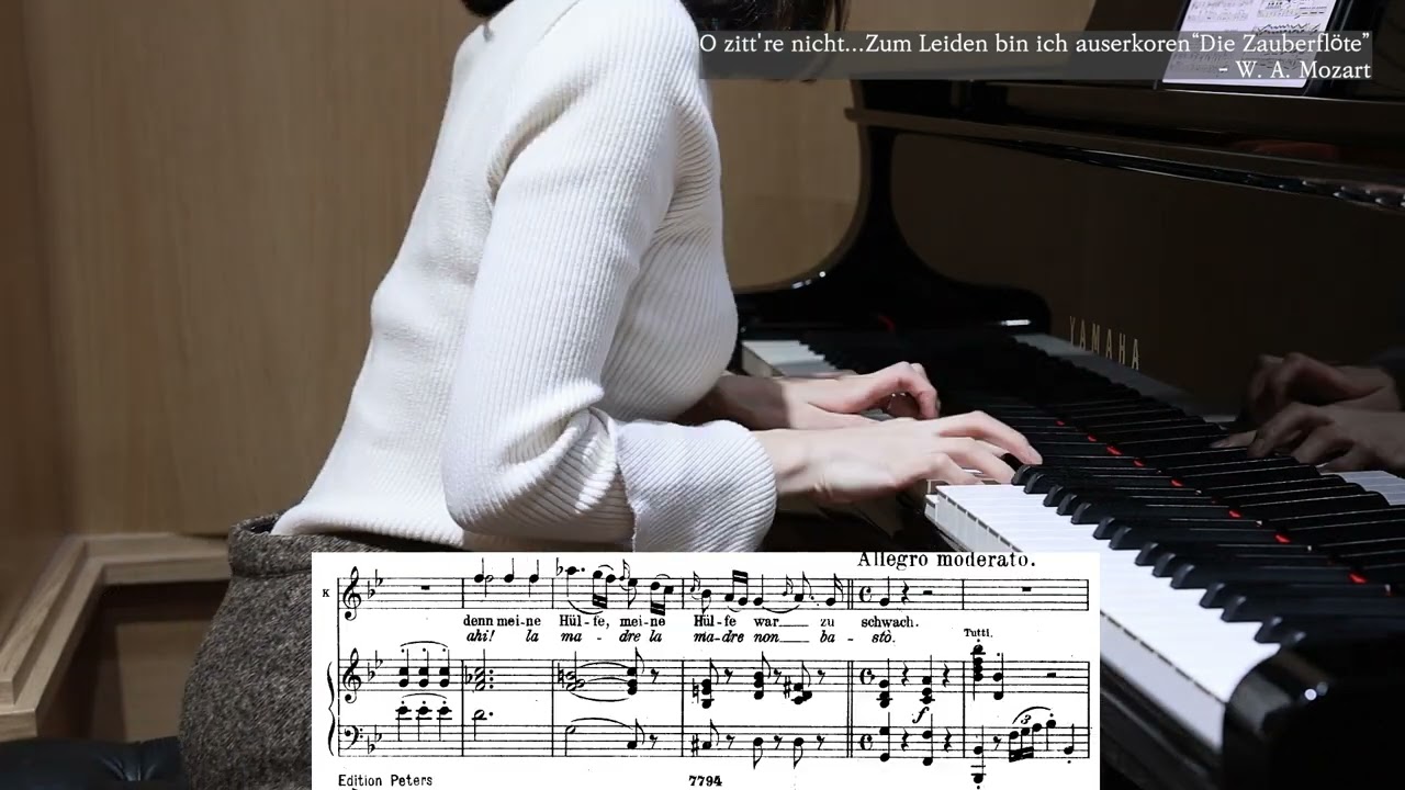 O zittre nicht, mein lieber Sohn “Die Zauberflöte” -W.A. Mozart /piano accompaniment/karaoke/성악반주/mr